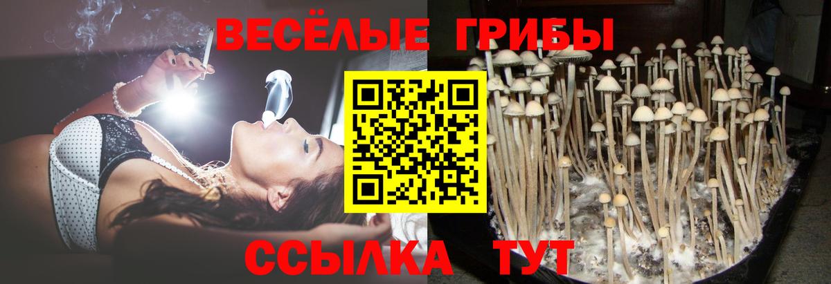 Лысьва  Галлюциногенные грибы Psilocybe  что такое   Галлюциногенные грибы мухоморы  Вход с VPN 